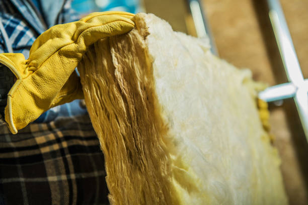 Best Insulation Maintenance and Repair in Newton, MS