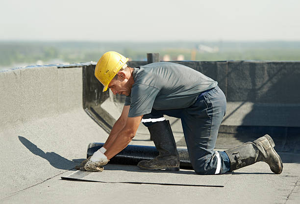 Best Commercial Insulation in Newton, MS