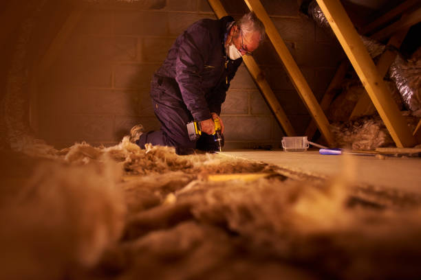 Best Specialty Insulation in Newton, MS